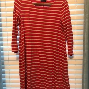 gap swing dress (m)